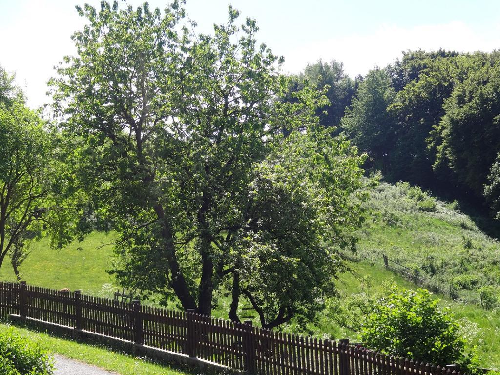 Lauras Landhauspension Медебах Экстерьер фото